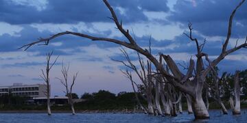 Fotografía: Paola Sereno