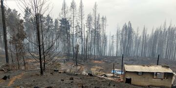 Así quedó la chacra de Jésica Castillo y sus hijos Juan Ignacio y Manuel, mendocinos que viven en Las Golondrinas, distrito de Lago Puelo (Chubut). | Gentileza.