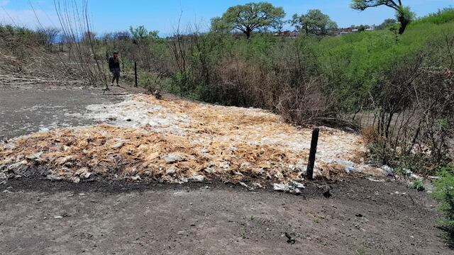 Equipos técnicos de la Secretaría de Calidad Ambiental del Ministerio de Ambiente y Cambio Climático de Jujuy sancionaron y exigieron la remediación inmediata de un predio contiguo a un barrio en Alto Comedero, tras constatar una denuncia de vecinos por los olores nauseabundos provenientes de pollos muertos arrojados en el sector.