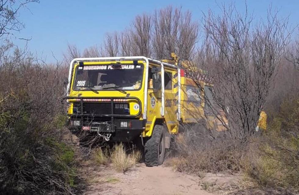 Se quemaron 130 hectáreas de campo a causa de un incendio intencional
