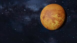 Durará hasta el 3 de septiembre.