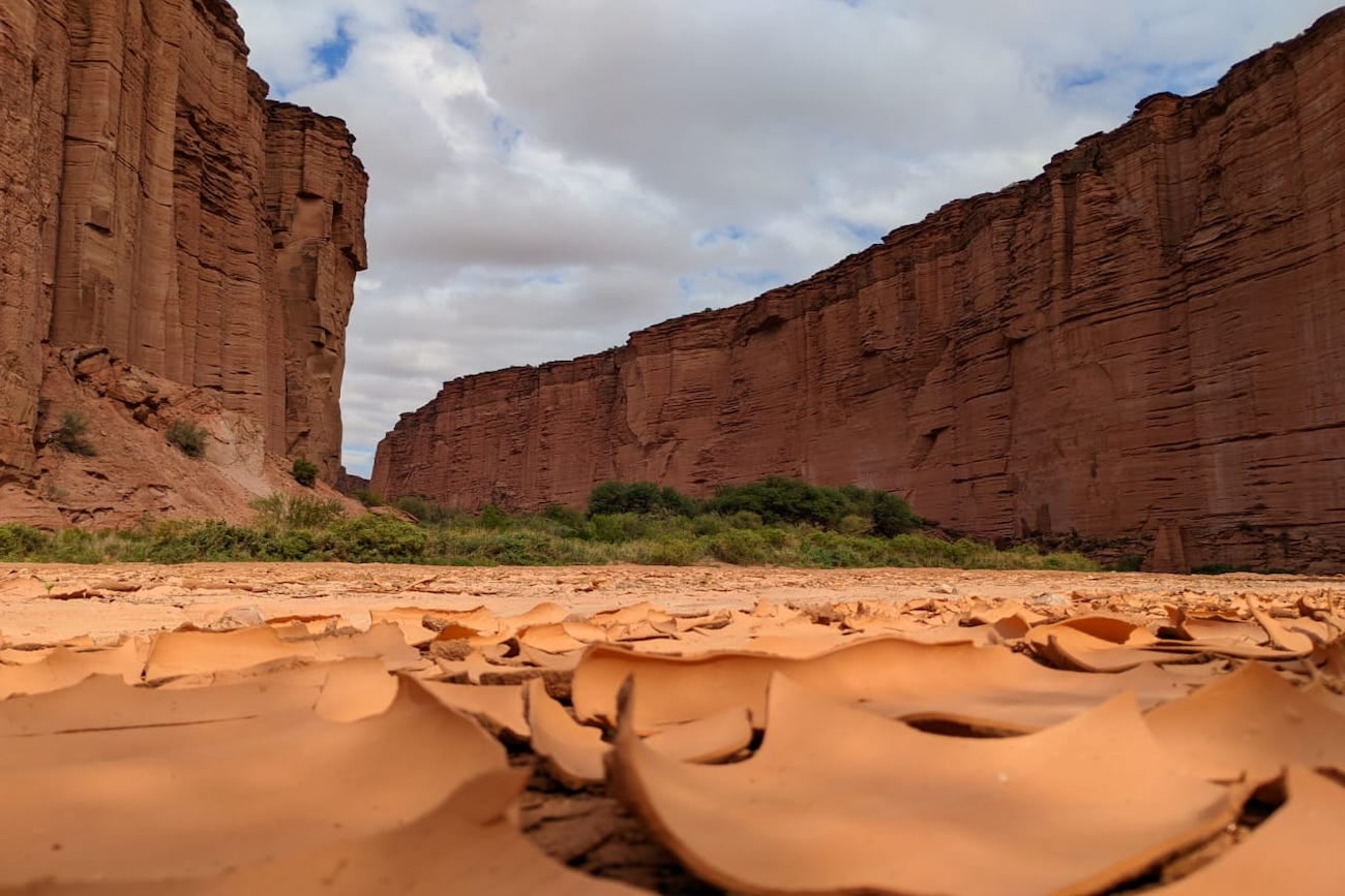 Talampaya es uno de los pocos yacimientos en el mundo que contiene un interesante y completo registro de vertebrados fósiles que permite explicar su evolución y el desarrollo de la vida en la región durante todo el período Triásico. (Gentileza: APN)