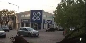 Árbol caído en pleno avenida Santa Fe