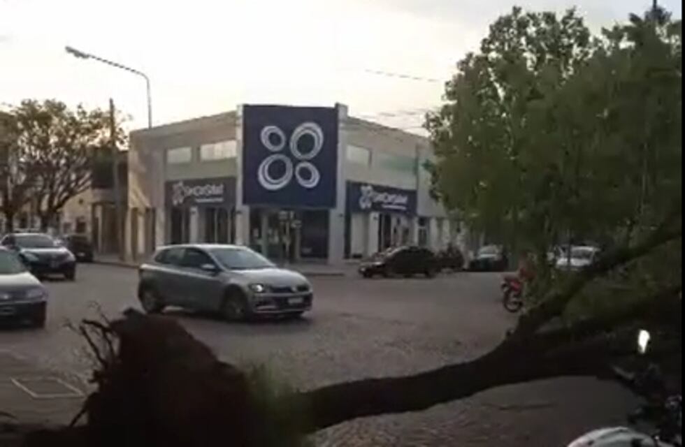 Ráfagas de viento de hasta 72 km/h tumbaron personas, árboles, postes y hasta un techo