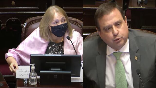 Los senadores nacionales por Jujuy Silvia Giacoppo (UCR) y Guillermo Snopek (FdT) protagonistas de un fuerte entredicho en el en el recinto de sesiones, este jueves.