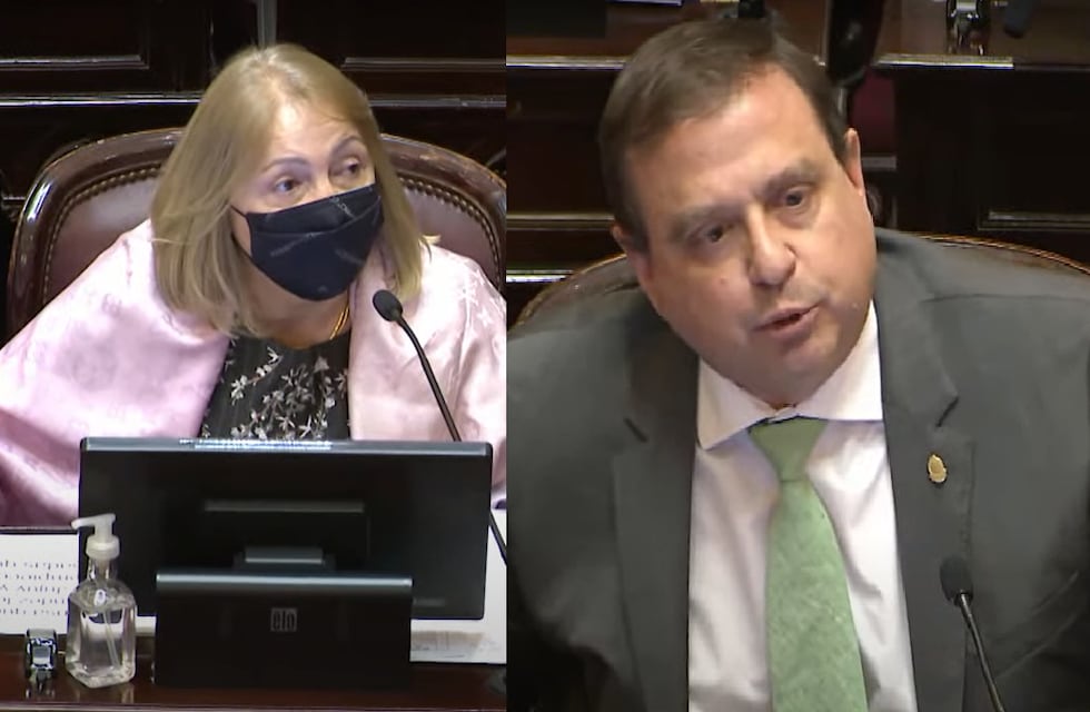 Bochorno en el Senado: ¿qué dijo Giacoppo que enojó tanto a Snopek?