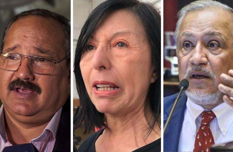 Aborto legal: qué dijeron los legisladores salteños durante sus discursos en el Senado