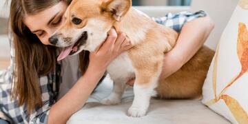 Cuáles son las palabras favoritas de los perros.