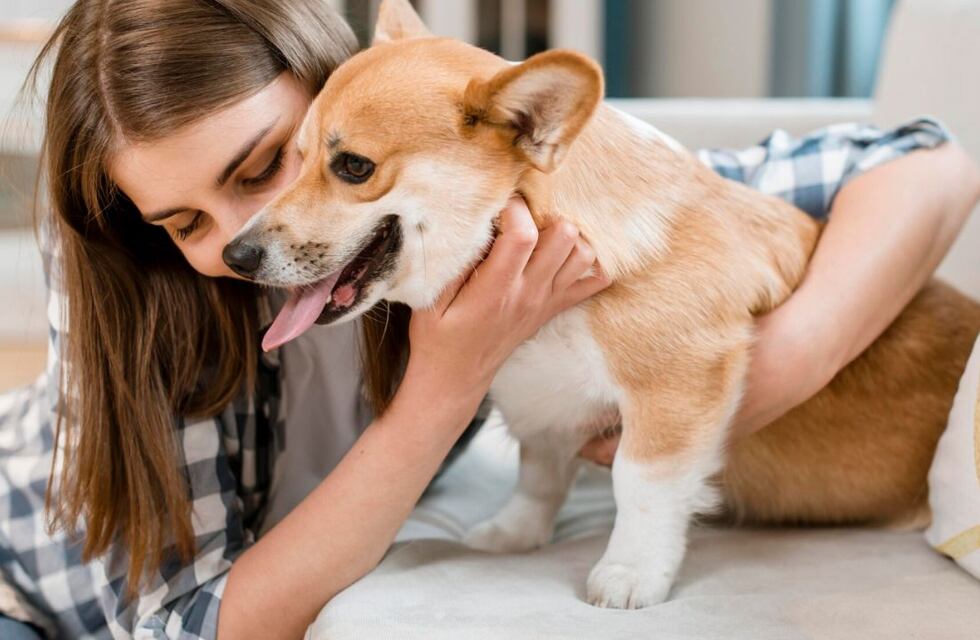 ¿Tu perro te entiende? Un estudio reveló la verdad