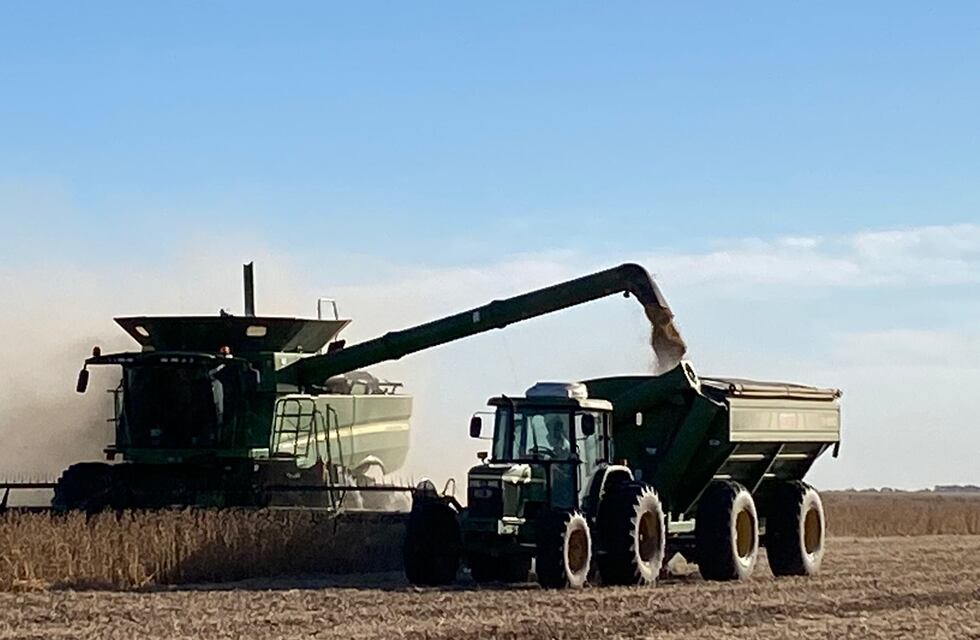 Las razones por las que el dólar “agro” no convence al campo y no alterarían el ritmo de venta de la soja