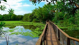 Cómo es la reserva natural gratuita que se puede visitar en el fin de semana largo y que está a 30 minutos de CABA.