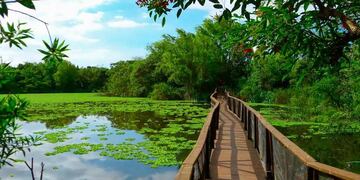 Cómo es la reserva natural gratuita que se puede visitar en el fin de semana largo y que está a 30 minutos de CABA.