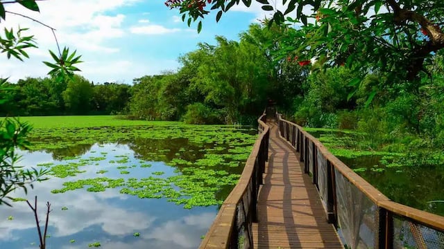 Cómo es la reserva natural gratuita que se puede visitar en el fin de semana largo y que está a 30 minutos de CABA.