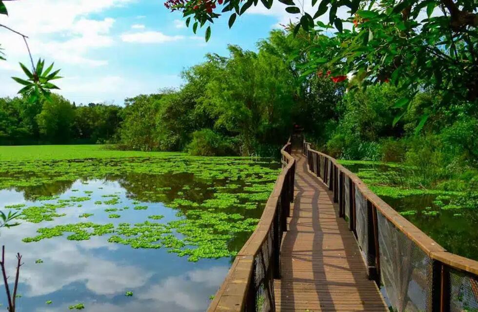 Cómo es la reserva natural gratuita ideal para el “finde XXL” que está a 30 minutos de CABA