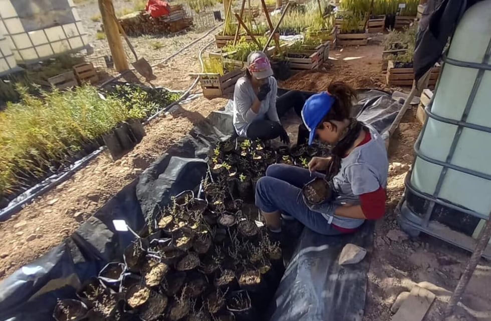 Se viene el encuentro “Intercambio de Semillas”, una forma de soberanía alimentaria y cuidado de la flora autóctona
