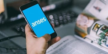 ANSES