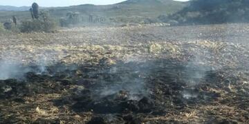 Todos los focos de la provincia fueron controlados por los bomberos (Policía de Córdoba).