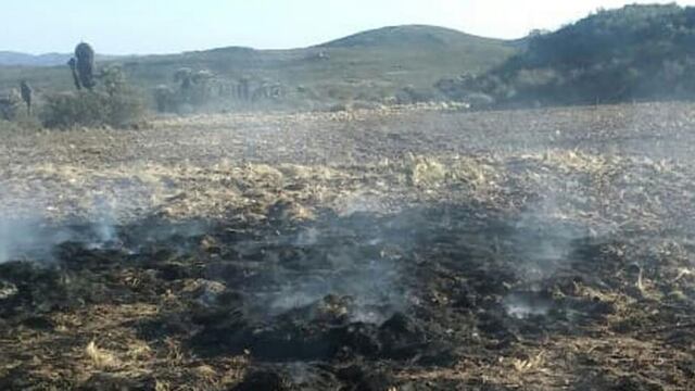Todos los focos de la provincia fueron controlados por los bomberos (Policía de Córdoba).