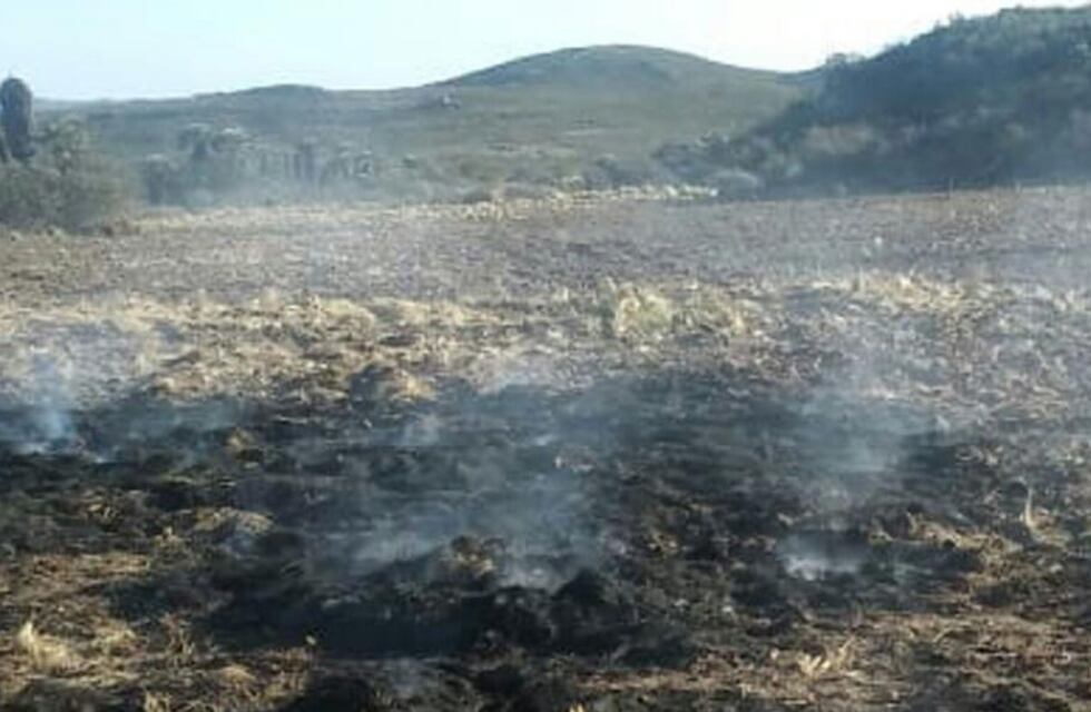 Bomberos contuvieron el incendio en la localidad cordobesa Malagueño y ya no hay focos activos