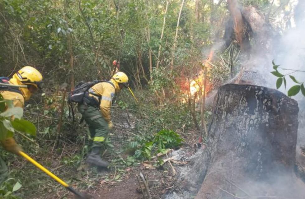 Santa Ana: brigadistas trabajan en el control de focos de incendios