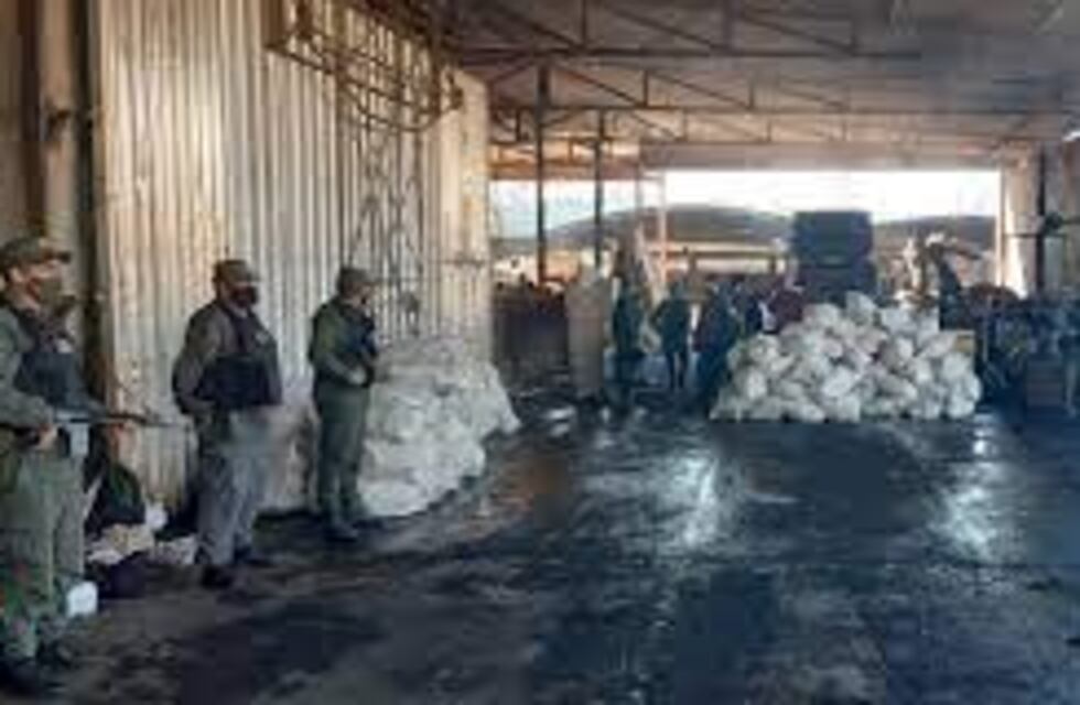 Incineran más de dos toneladas de marihuana en 25 de Mayo