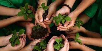 Diplomatura en Seguridad Ambiental se dictará en Puerto Iguazú.