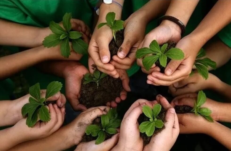 Diplomatura en Seguridad Ambiental se dictará en Puerto Iguazú