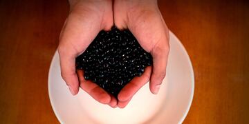 porotos negros