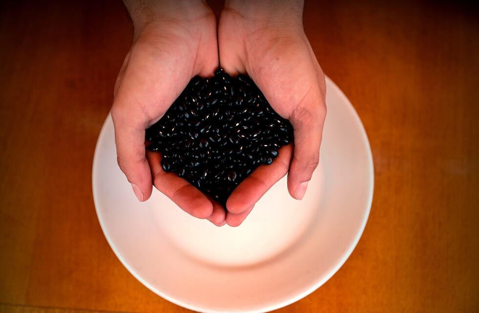 Buena noticia para Jujuy: México simplifica el ingreso de poroto argentino