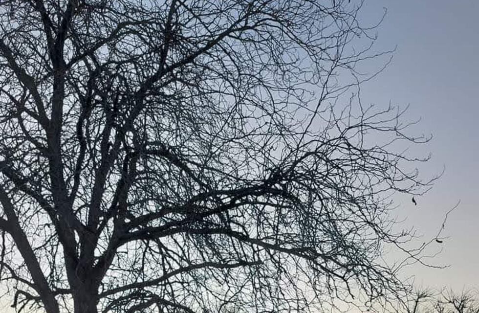 Cómo estará el clima esta semana en Gualeguaychú