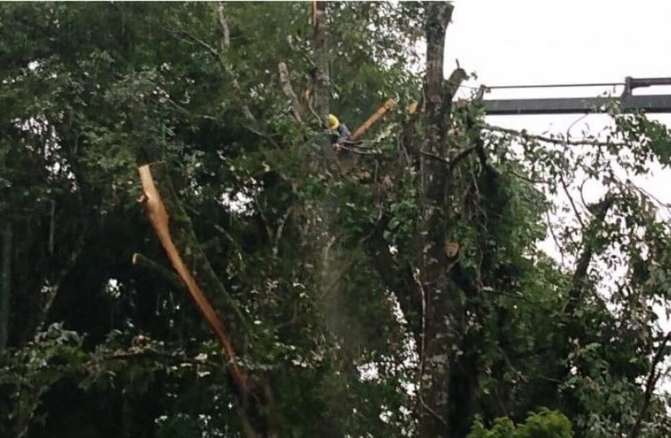 Localidades de la zona norte misionera estuvieron casi 5 horas sin energía eléctrica