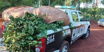 Montecarlo: el municipio contará con una División de Delitos Rurales