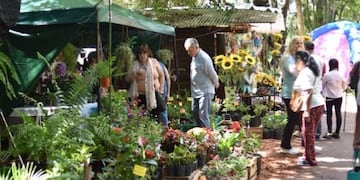 Montecarlo celebró una nueva edición de la Fiesta Nacional de la Orquídea y la Fiesta Provincial de la Flor.