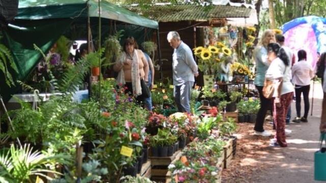 Montecarlo celebró una nueva edición de la Fiesta Nacional de la Orquídea y la Fiesta Provincial de la Flor.