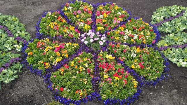 Bajo el programa de embellecimiento de la ciudad se realizó la plantación de flores y arbustos en las distintas rotondas de ingreso a Ushuaia.