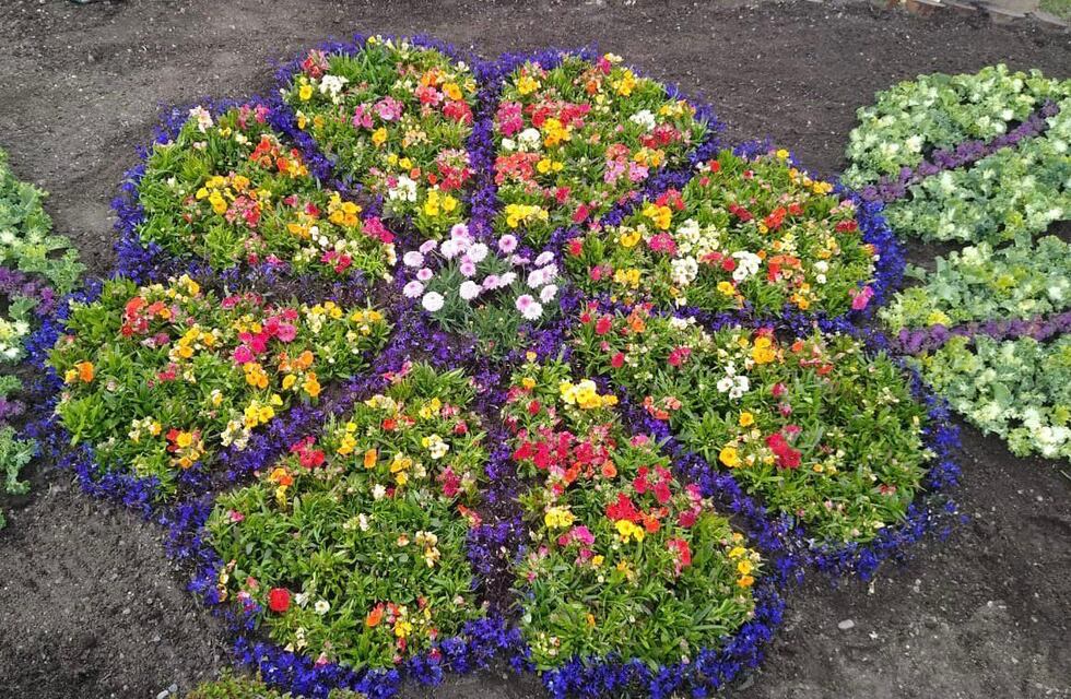 Embelleciendo la ciudad con producción local de flores