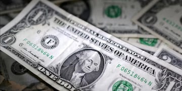 El dólar terminó la jornada moderado.