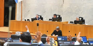 Al tratarse el Régimen de Incentivo para Grandes Inversiones (RIGI) en la Legislatura Provincial