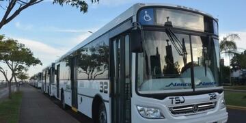 Estas son las nuevas seis líneas de colectivos urbanos adjudicadas a la empresa San José