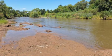 Encontraron restos de un gliptodonte en Córdoba. (Fotos: Gobierno de Córdoba)