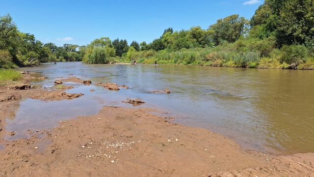 Encontraron restos de un gliptodonte en Córdoba. (Fotos: Gobierno de Córdoba)