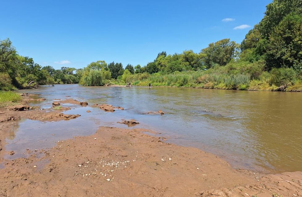 Asombroso: encontraron restos de un gliptodonte gigante en un río de Córdoba