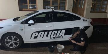 Ingresó a robar a una casa y terminó detenido.