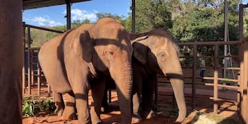 Pocha y Guillermina en el santuario de Mato Grosso
