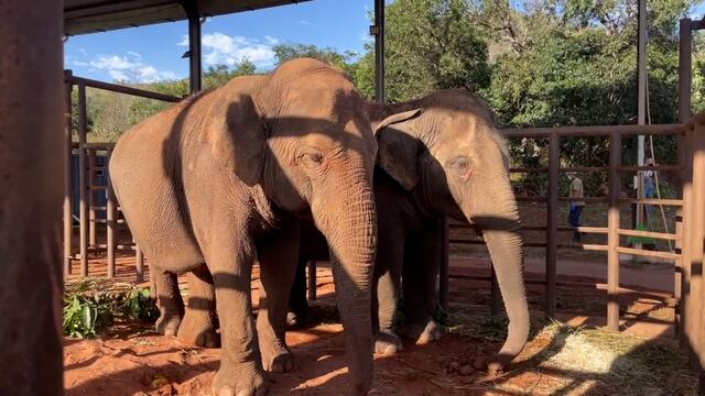 Pocha y Guillermina en el santuario de Mato Grosso