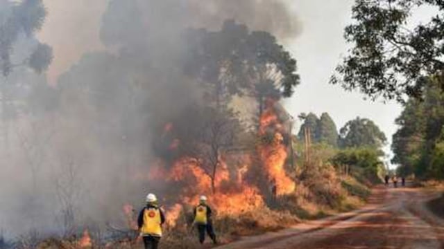 Un nuevo foco de incendio afectó parte del Parque Provincial de la Araucaria.
