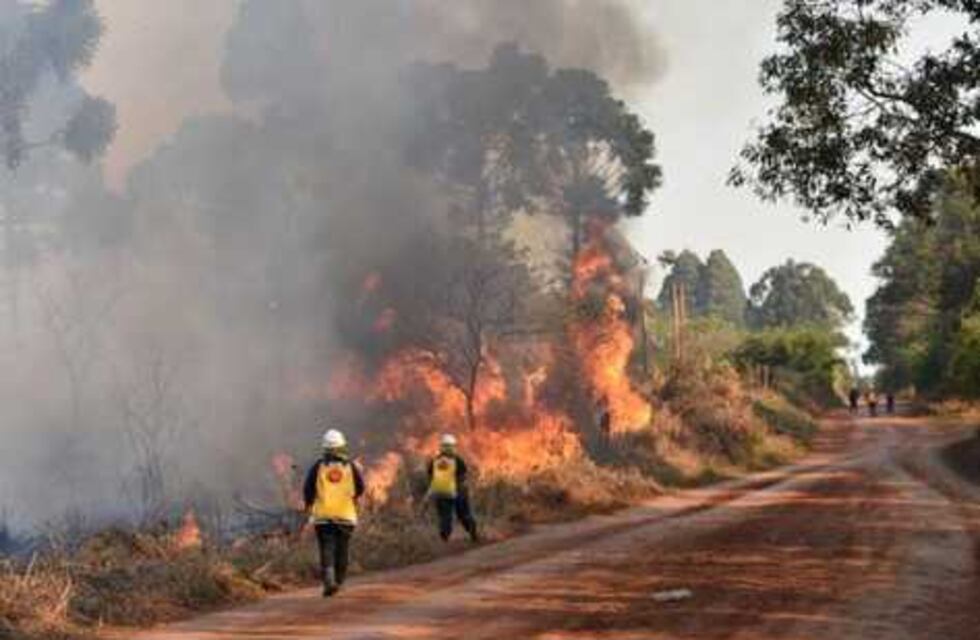 Los incendios intencionales no cesan: continúan denunciando focos en Pozo Azul