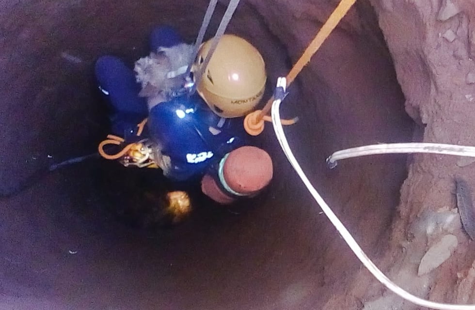 Rescataron a un perro que cayó a un pozo de diez metros