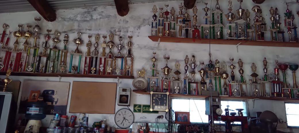 Decenas de trofeos son el testimonio de la notable campaña de Tolosa en el deporte motor.