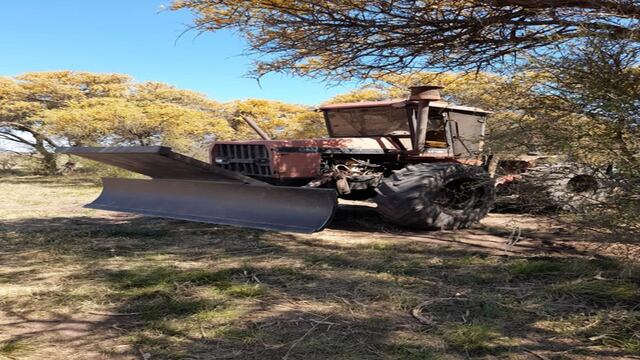 Desmonte total sobre la vegetación nativa en un campo de Balnearia.